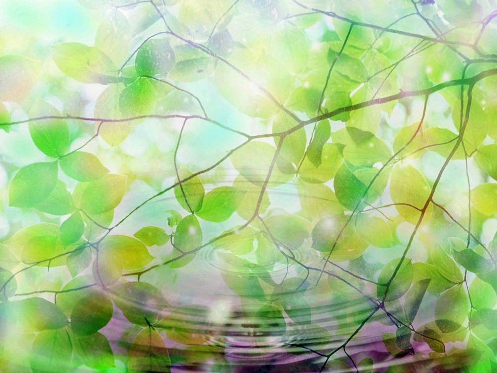 Season-(Summer-ฤดูร้อน)HD-Wallpapers-Backgrounds ภาพพื้นหลัง พักหน้าจอ No.38