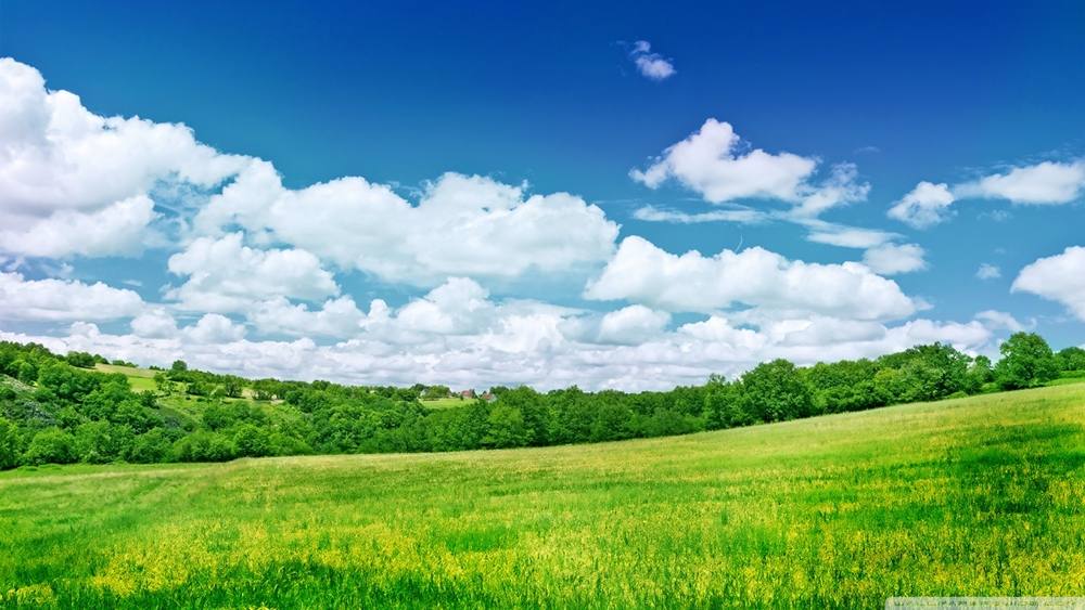 Season-(Summer-ฤดูร้อน)HD-Wallpapers-Backgrounds ภาพพื้นหลัง พักหน้าจอ No.38