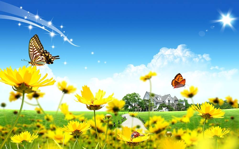 Season-(Summer-ฤดูร้อน)HD-Wallpapers-Backgrounds ภาพพื้นหลัง พักหน้าจอ No.38