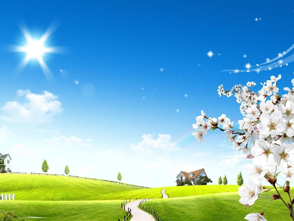 Season-(Summer-ฤดูร้อน)HD-Wallpapers-Backgrounds ภาพพื้นหลัง พักหน้าจอ No.38