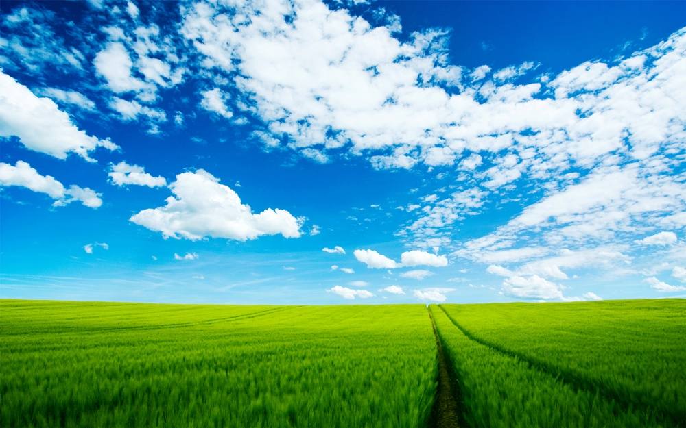 Season-(Summer-ฤดูร้อน)HD-Wallpapers-Backgrounds ภาพพื้นหลัง พักหน้าจอ No.38