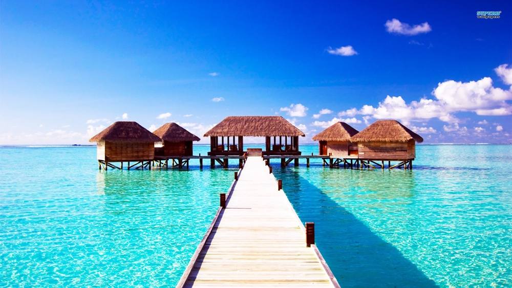 Season-(Summer-ฤดูร้อน)HD-Wallpapers-Backgrounds ภาพพื้นหลัง พักหน้าจอ No.38