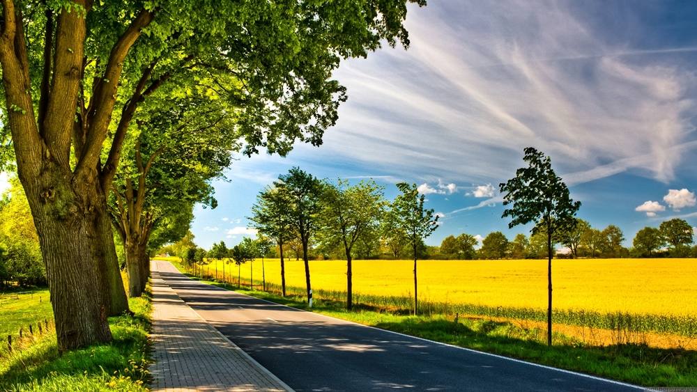 Season-(Summer-ฤดูร้อน)HD-Wallpapers-Backgrounds ภาพพื้นหลัง พักหน้าจอ No.38