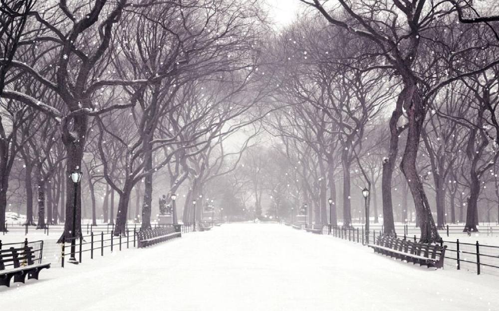 Season-(Winter-Snow-ฤดูหนาว-หิมะตก)HD-Wallpapers-Backgrounds ภาพพื้นหลัง พักหน้าจอ No.39