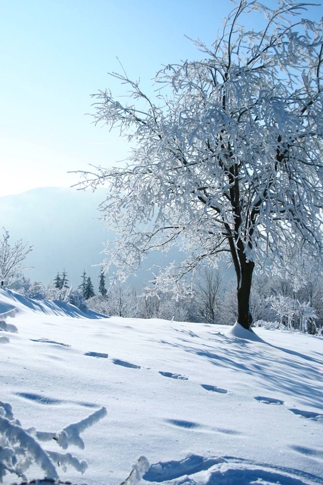 Season-(Winter-Snow-ฤดูหนาว-หิมะตก)HD-Wallpapers-Backgrounds ภาพพื้นหลัง พักหน้าจอ No.39