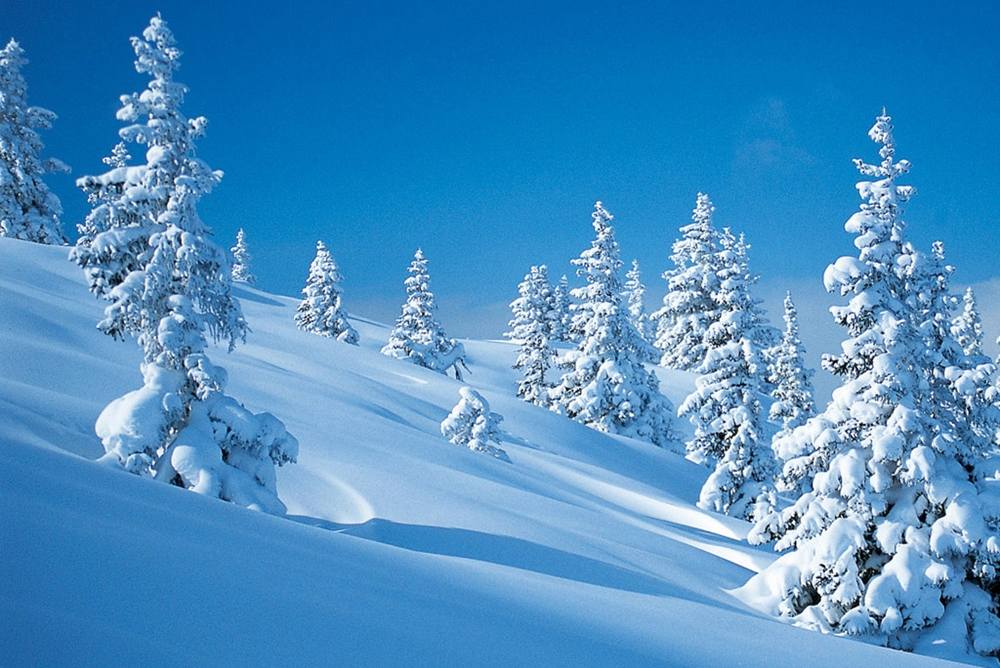 Season-(Winter-Snow-ฤดูหนาว-หิมะตก)HD-Wallpapers-Backgrounds ภาพพื้นหลัง พักหน้าจอ No.39