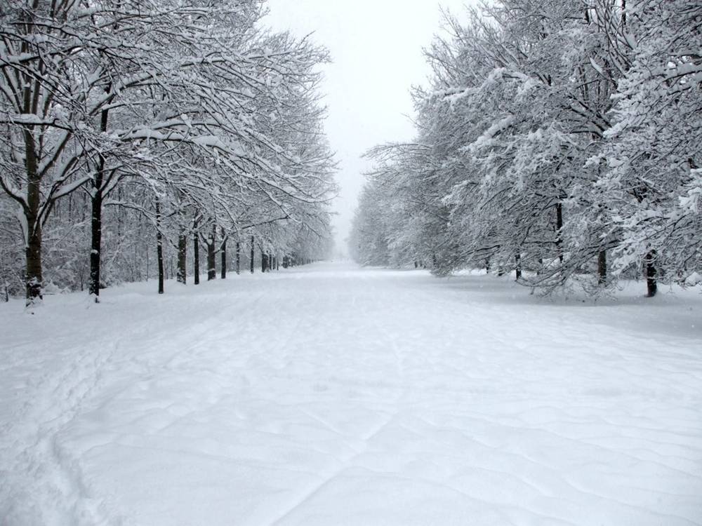 Season-(Winter-Snow-ฤดูหนาว-หิมะตก)HD-Wallpapers-Backgrounds ภาพพื้นหลัง พักหน้าจอ No.39