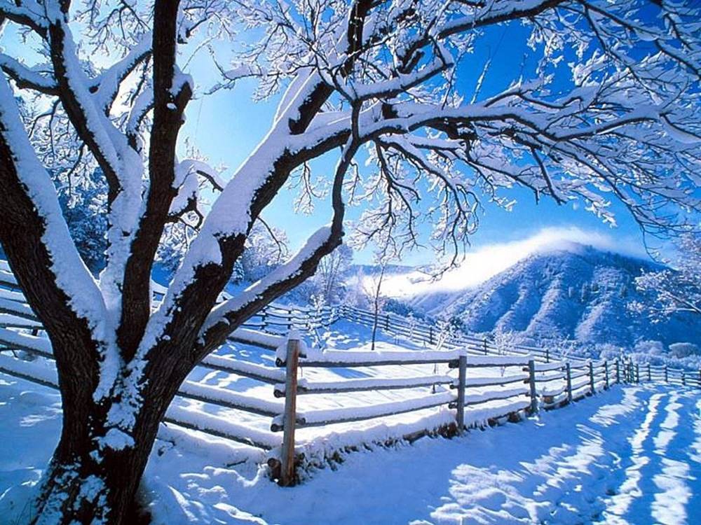 Season-(Winter-Snow-ฤดูหนาว-หิมะตก)HD-Wallpapers-Backgrounds ภาพพื้นหลัง พักหน้าจอ No.39
