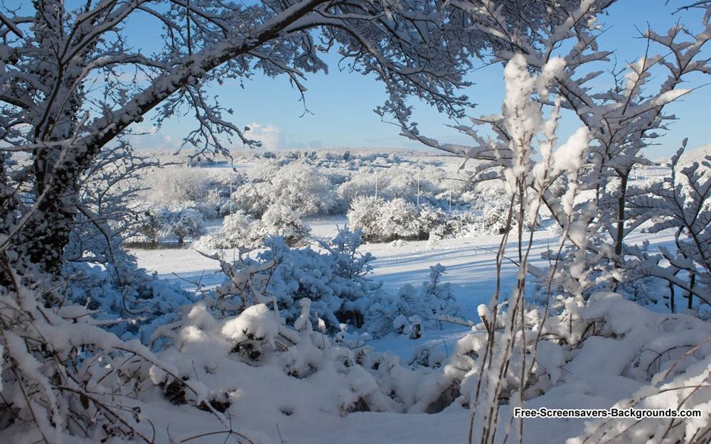 Season-(Winter-Snow-ฤดูหนาว-หิมะตก)HD-Wallpapers-Backgrounds ภาพพื้นหลัง พักหน้าจอ No.39