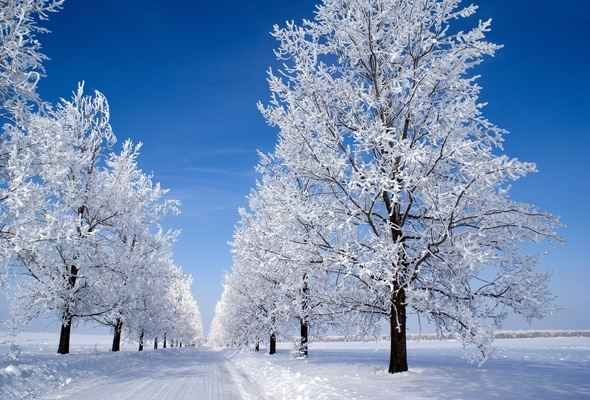 Season-(Winter-Snow-ฤดูหนาว-หิมะตก)HD-Wallpapers-Backgrounds ภาพพื้นหลัง พักหน้าจอ No.39