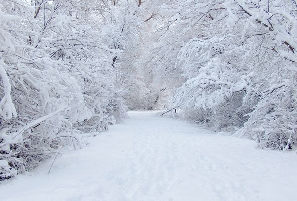 Season-(Winter-Snow-ฤดูหนาว-หิมะตก)HD-Wallpapers-Backgrounds ภาพพื้นหลัง พักหน้าจอ No.40