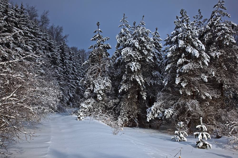 Season-(Winter-Snow-ฤดูหนาว-หิมะตก)HD-Wallpapers-Backgrounds ภาพพื้นหลัง พักหน้าจอ No.40