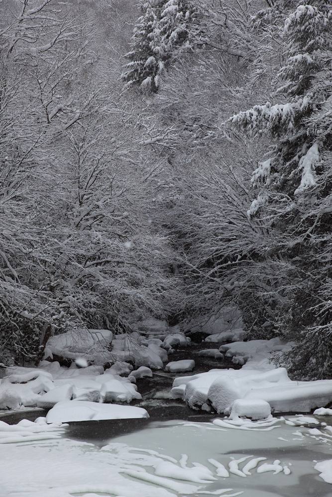 Season-(Winter-Snow-ฤดูหนาว-หิมะตก)HD-Wallpapers-Backgrounds ภาพพื้นหลัง พักหน้าจอ No.40