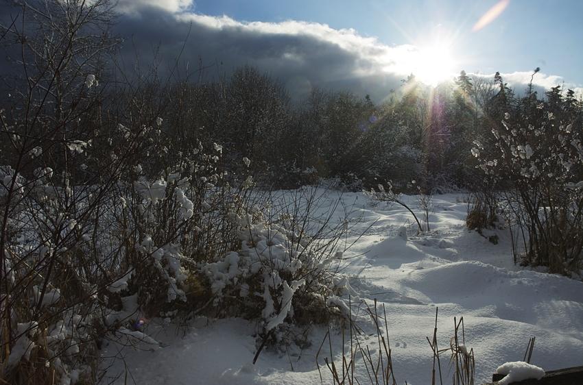 Season-(Winter-Snow-ฤดูหนาว-หิมะตก)HD-Wallpapers-Backgrounds ภาพพื้นหลัง พักหน้าจอ No.40
