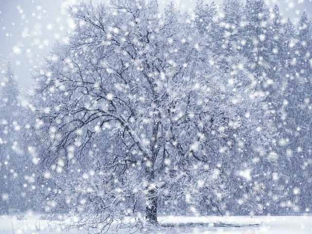 Season-(Winter-Snow-ฤดูหนาว-หิมะตก)HD-Wallpapers-Backgrounds ภาพพื้นหลัง พักหน้าจอ No.40
