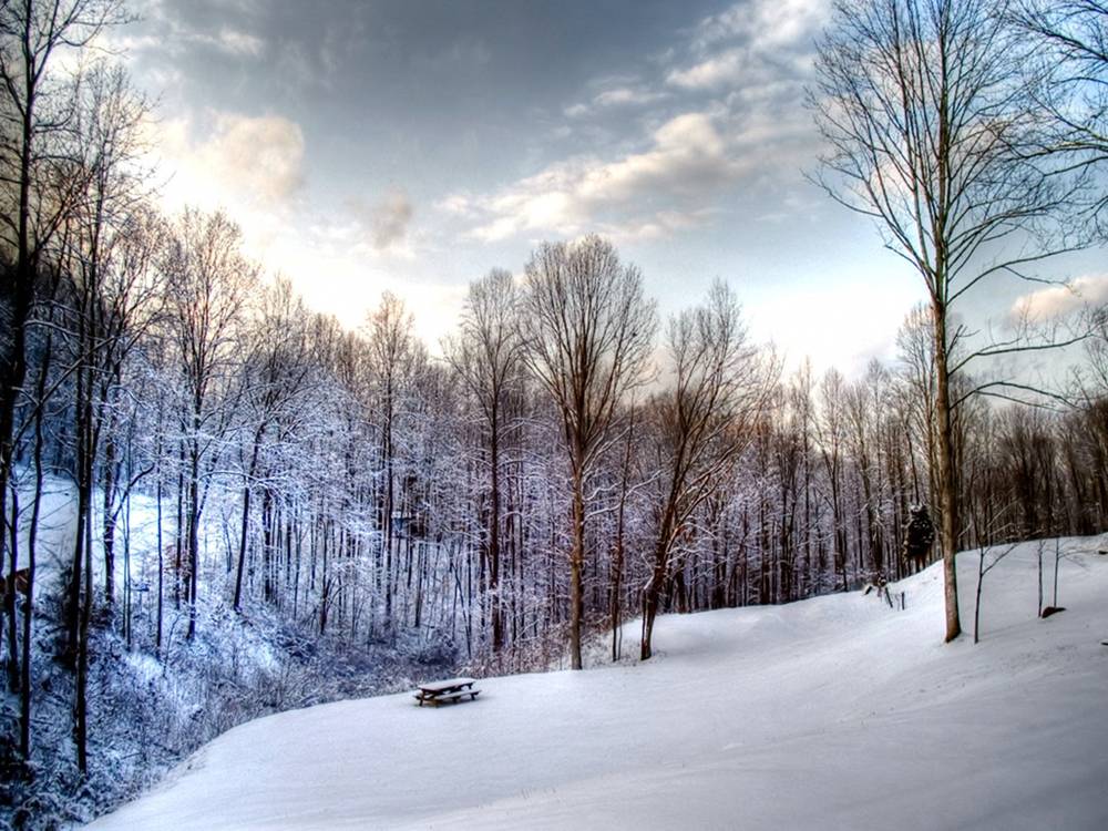 Season-(Winter-Snow-ฤดูหนาว-หิมะตก)HD-Wallpapers-Backgrounds ภาพพื้นหลัง พักหน้าจอ No.41