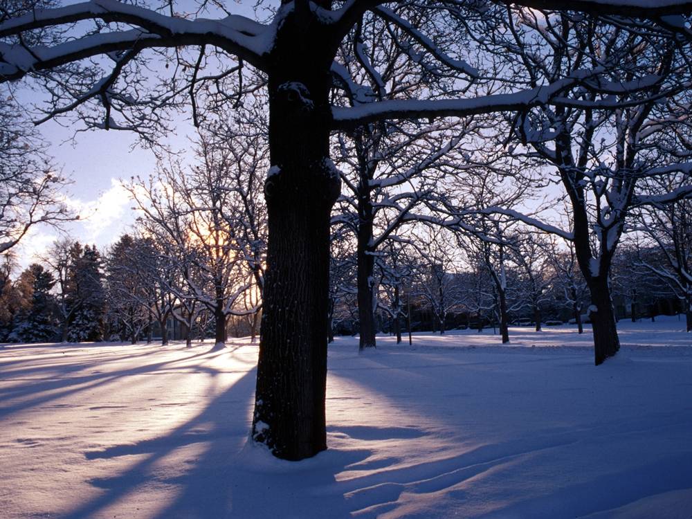 Season-(Winter-Snow-ฤดูหนาว-หิมะตก)HD-Wallpapers-Backgrounds ภาพพื้นหลัง พักหน้าจอ No.41