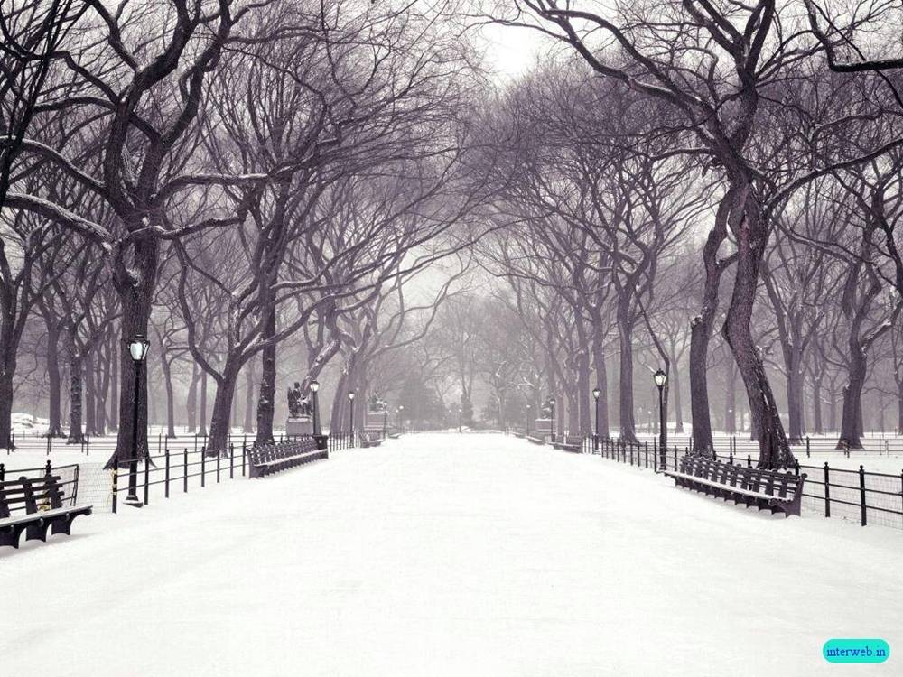 Season-(Winter-Snow-ฤดูหนาว-หิมะตก)HD-Wallpapers-Backgrounds ภาพพื้นหลัง พักหน้าจอ No.41