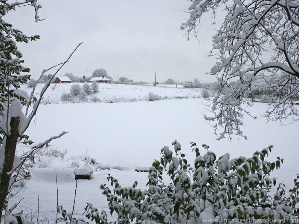 Season-(Winter-Snow-ฤดูหนาว-หิมะตก)HD-Wallpapers-Backgrounds ภาพพื้นหลัง พักหน้าจอ No.41