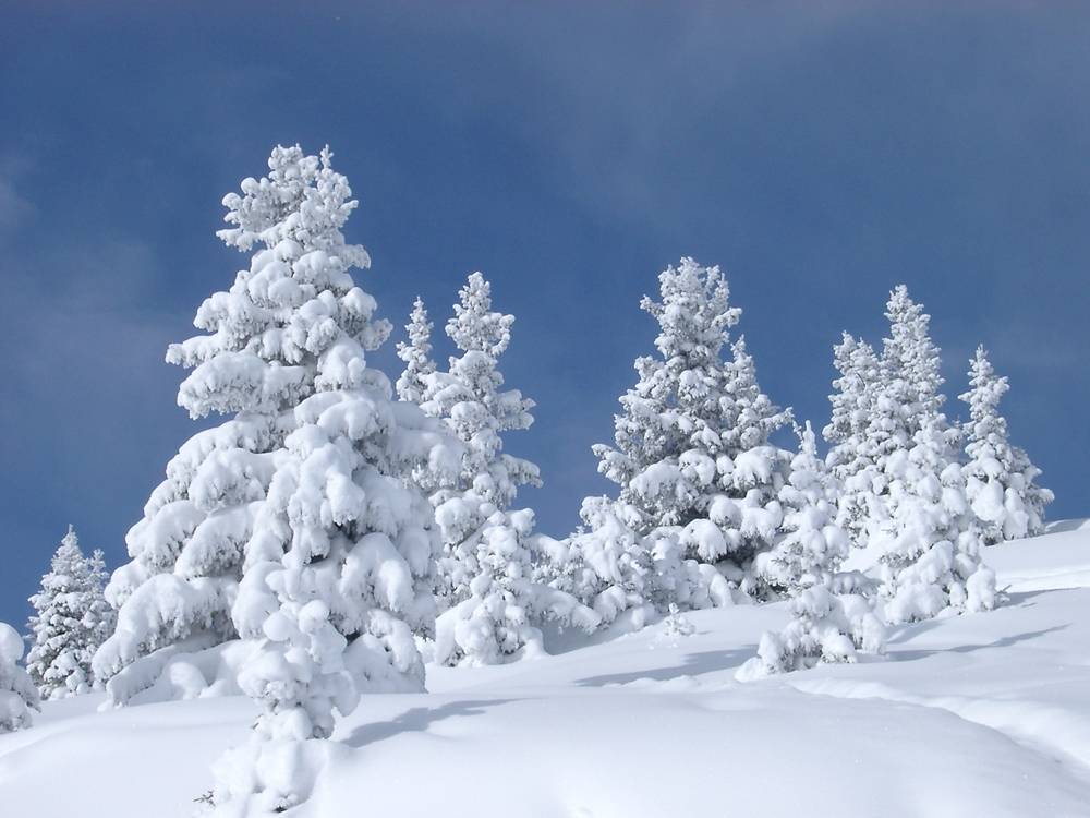 Season-(Winter-Snow-ฤดูหนาว-หิมะตก)HD-Wallpapers-Backgrounds ภาพพื้นหลัง พักหน้าจอ No.41