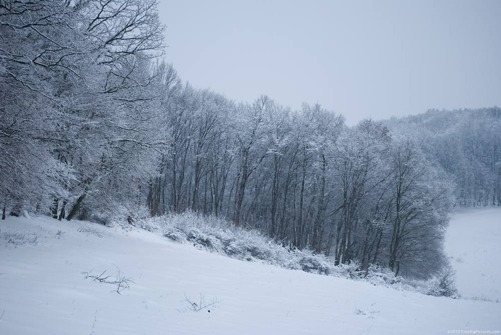 Season-(Winter-Snow-ฤดูหนาว-หิมะตก)HD-Wallpapers-Backgrounds ภาพพื้นหลัง พักหน้าจอ No.41