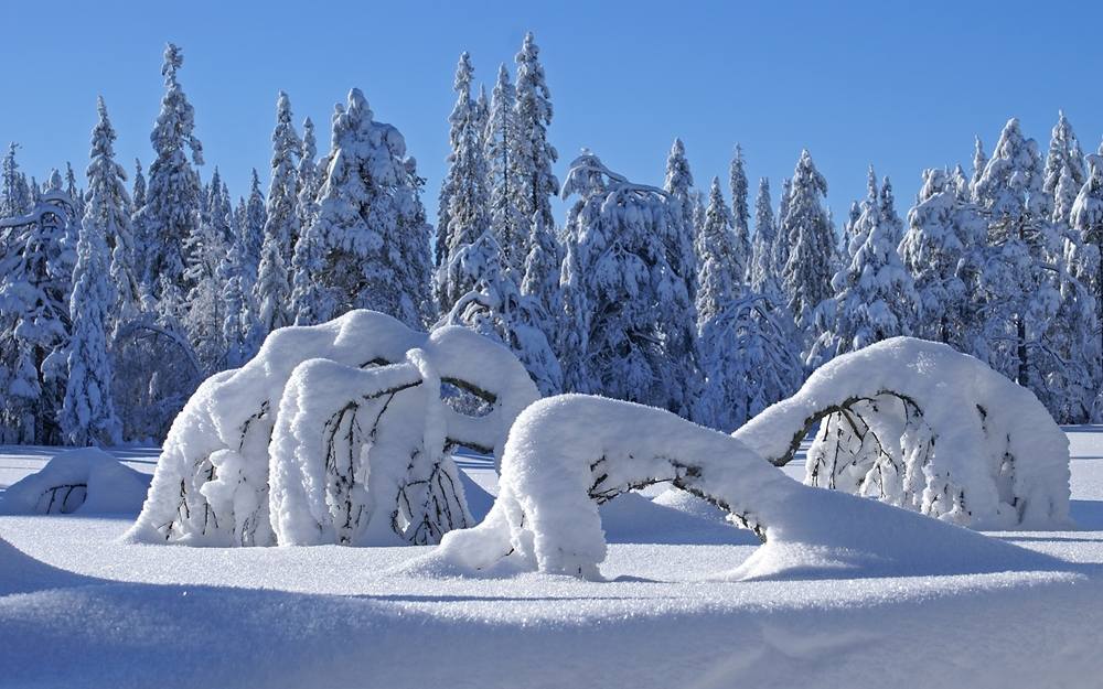 Season-(Winter-Snow-ฤดูหนาว-หิมะตก)HD-Wallpapers-Backgrounds ภาพพื้นหลัง พักหน้าจอ No.42