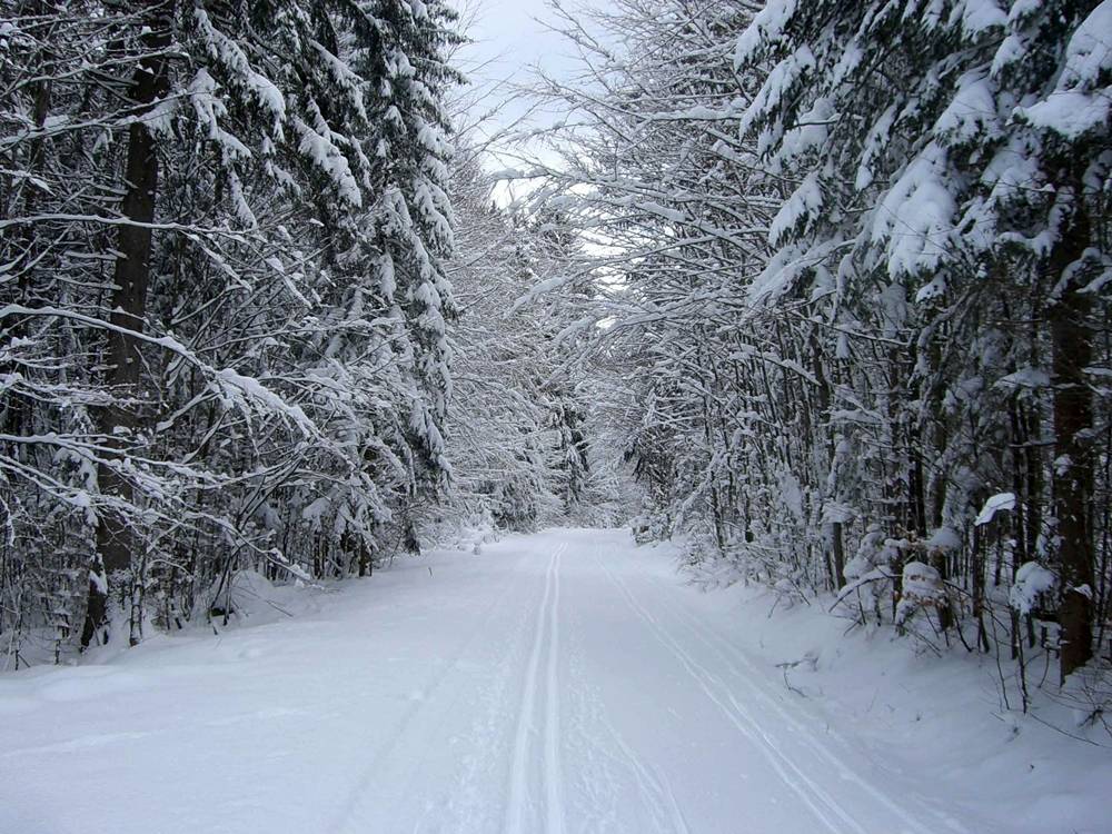 Season-(Winter-Snow-ฤดูหนาว-หิมะตก)HD-Wallpapers-Backgrounds ภาพพื้นหลัง พักหน้าจอ No.42