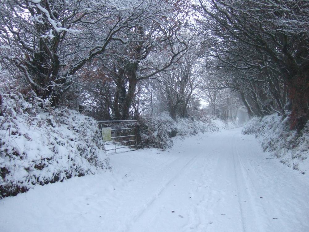 Season-(Winter-Snow-ฤดูหนาว-หิมะตก)HD-Wallpapers-Backgrounds ภาพพื้นหลัง พักหน้าจอ No.42