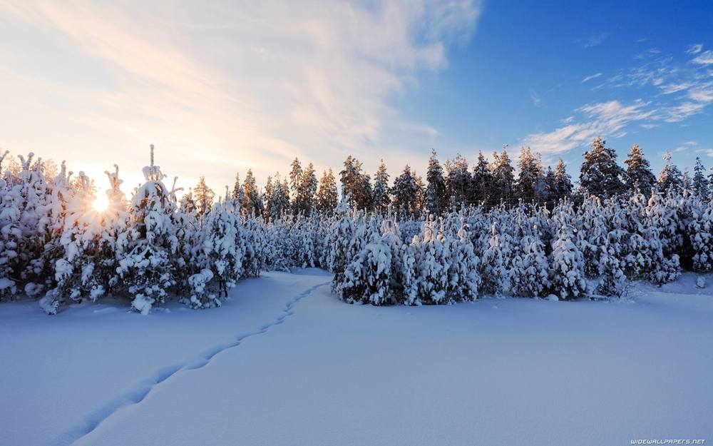 Season-(Winter-Snow-ฤดูหนาว-หิมะตก)HD-Wallpapers-Backgrounds ภาพพื้นหลัง พักหน้าจอ No.42