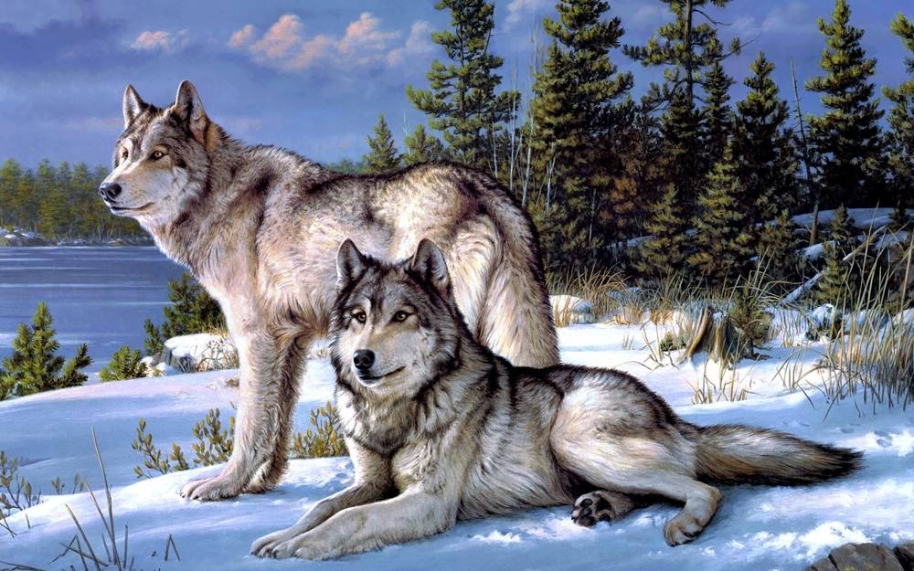 Season-(Winter-Snow-ฤดูหนาว-หิมะตก)HD-Wallpapers-Backgrounds ภาพพื้นหลัง พักหน้าจอ No.42