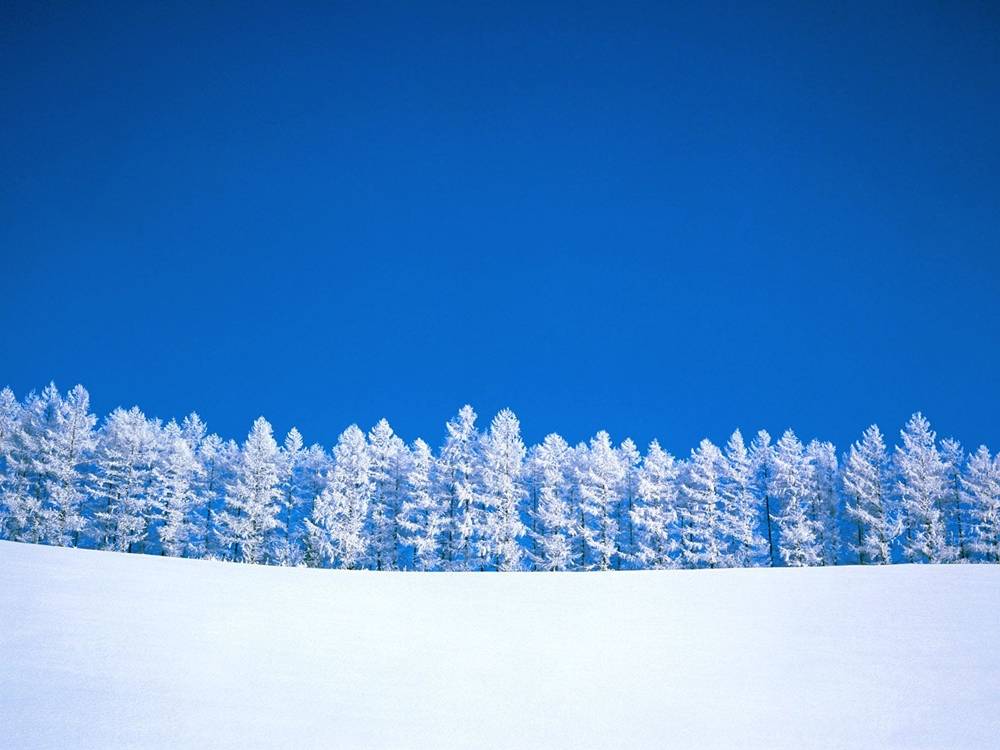 Season-(Winter-Snow-ฤดูหนาว-หิมะตก)HD-Wallpapers-Backgrounds ภาพพื้นหลัง พักหน้าจอ No.42