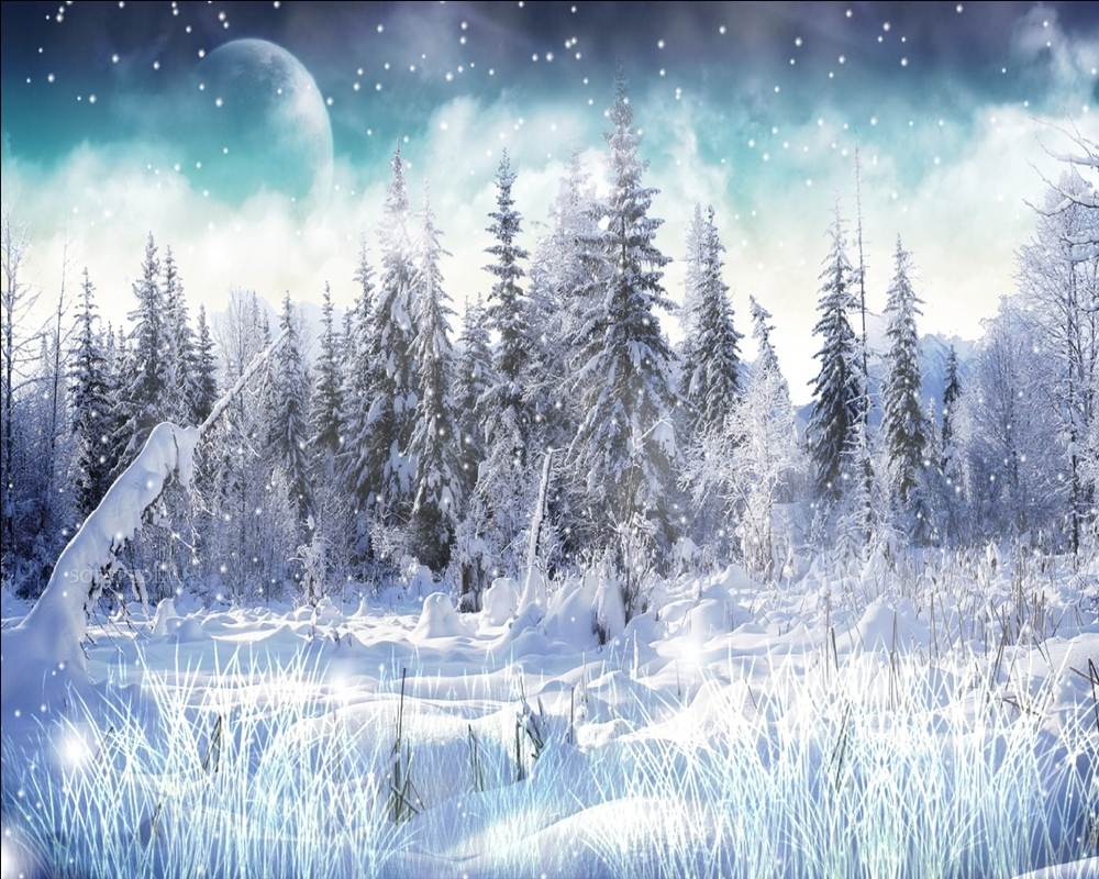 Season-(Winter-Snow-ฤดูหนาว-หิมะตก)HD-Wallpapers-Backgrounds ภาพพื้นหลัง พักหน้าจอ No.42
