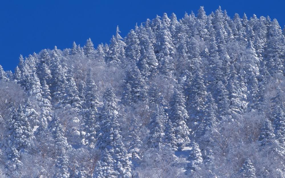 Season-(Winter-Snow-ฤดูหนาว-หิมะตก)HD-Wallpapers-Backgrounds ภาพพื้นหลัง พักหน้าจอ No.42