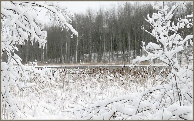 Season-(Winter-Snow-ฤดูหนาว-หิมะตก)HD-Wallpapers-Backgrounds ภาพพื้นหลัง พักหน้าจอ No.42