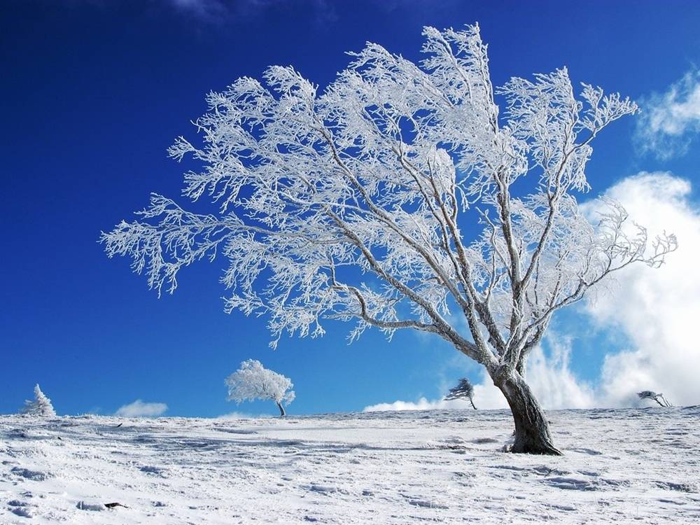 Season-(Winter-Snow-ฤดูหนาว-หิมะตก)HD-Wallpapers-Backgrounds ภาพพื้นหลัง พักหน้าจอ No.43