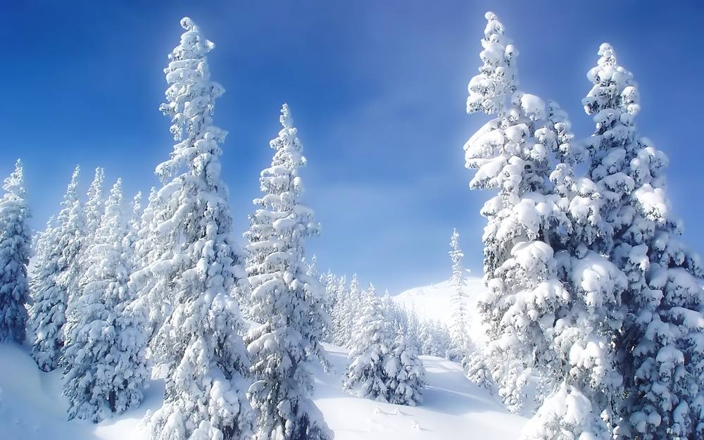 Season-(Winter-Snow-ฤดูหนาว-หิมะตก)HD-Wallpapers-Backgrounds ภาพพื้นหลัง พักหน้าจอ No.44