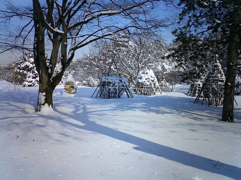 Season-(Winter-Snow-ฤดูหนาว-หิมะตก)HD-Wallpapers-Backgrounds ภาพพื้นหลัง พักหน้าจอ No.44