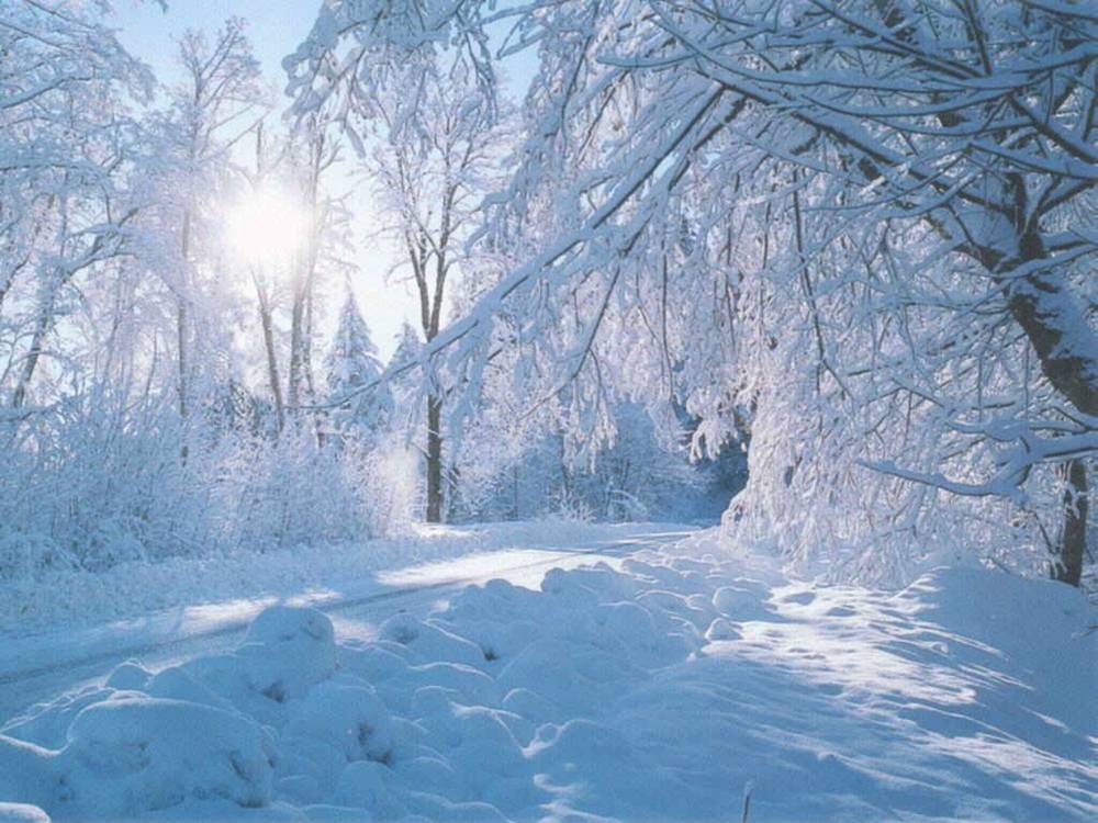 Season-(Winter-Snow-ฤดูหนาว-หิมะตก)HD-Wallpapers-Backgrounds ภาพพื้นหลัง พักหน้าจอ No.44