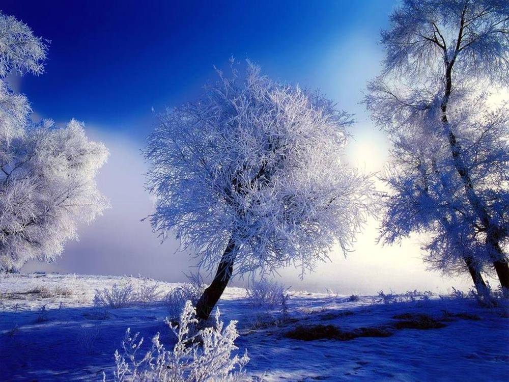 Season-(Winter-Snow-ฤดูหนาว-หิมะตก)HD-Wallpapers-Backgrounds ภาพพื้นหลัง พักหน้าจอ No.45