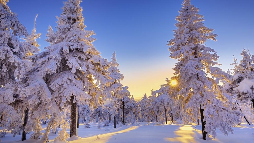 Season-(Winter-Snow-ฤดูหนาว-หิมะตก)HD-Wallpapers-Backgrounds ภาพพื้นหลัง พักหน้าจอ No.45