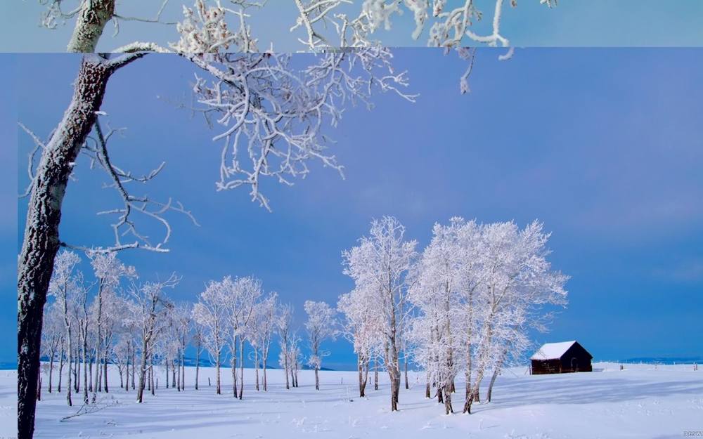Season-(Winter-Snow-ฤดูหนาว-หิมะตก)HD-Wallpapers-Backgrounds ภาพพื้นหลัง พักหน้าจอ No.45