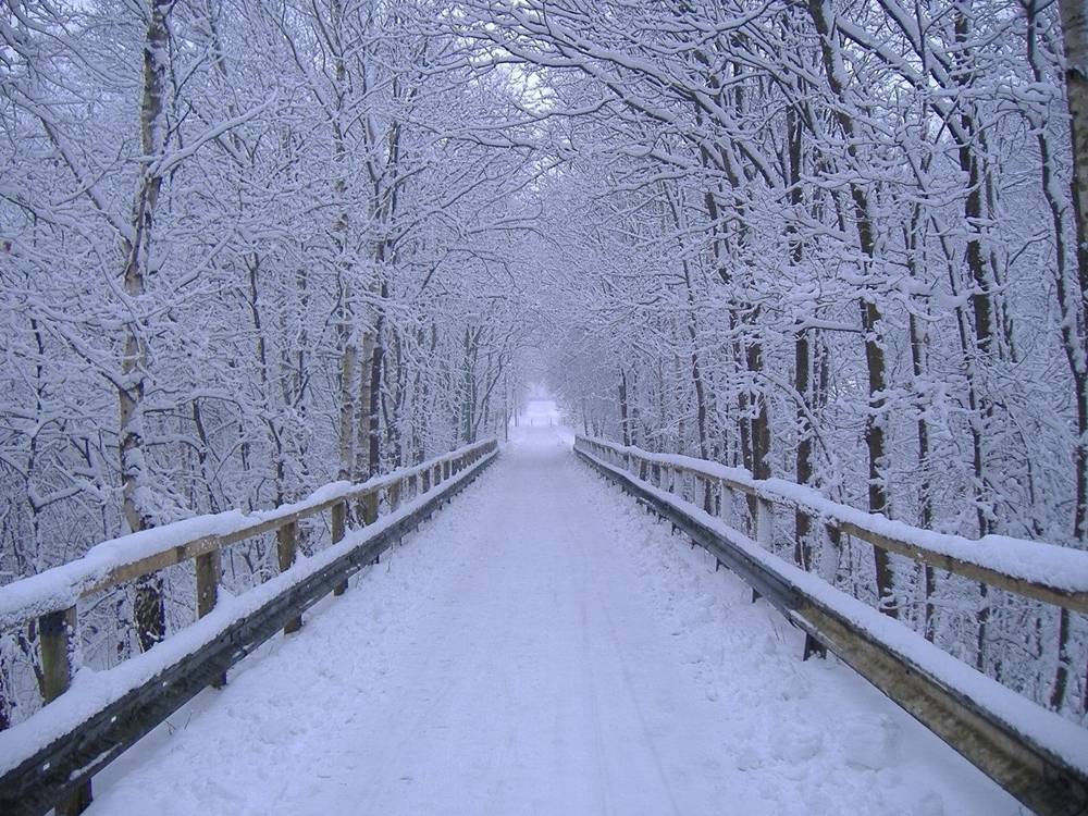 Season-(Winter-Snow-ฤดูหนาว-หิมะตก)HD-Wallpapers-Backgrounds ภาพพื้นหลัง พักหน้าจอ No.45