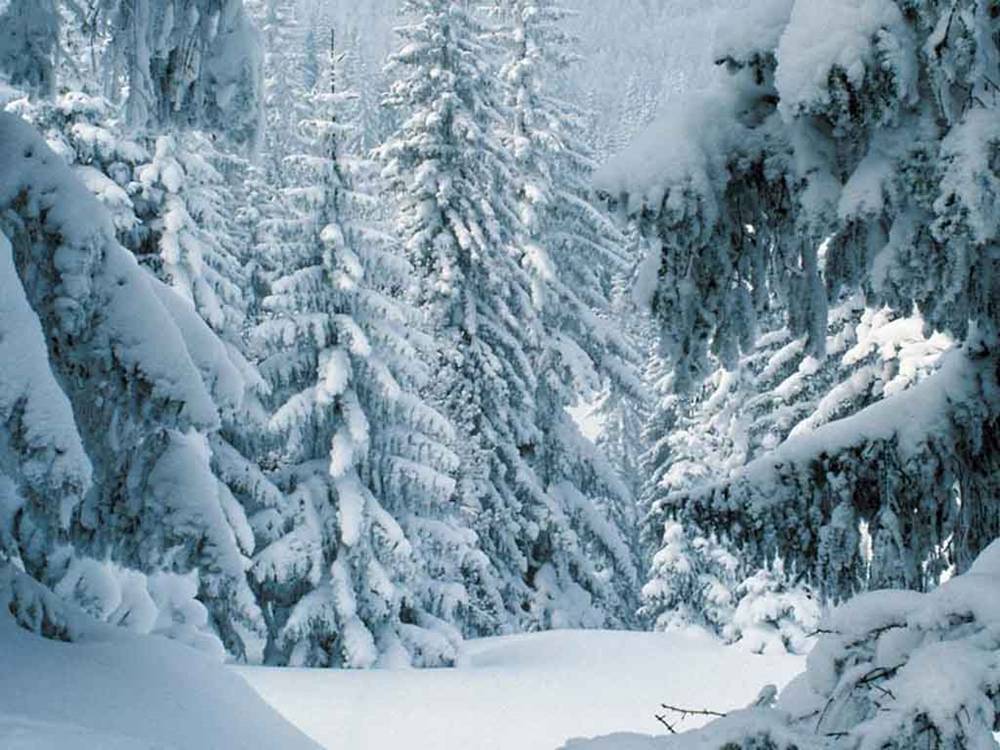 Season-(Winter-Snow-ฤดูหนาว-หิมะตก)HD-Wallpapers-Backgrounds ภาพพื้นหลัง พักหน้าจอ No.45