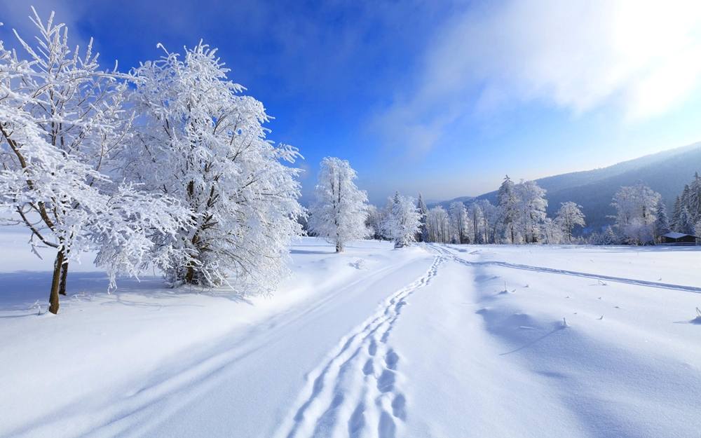 Season-(Winter-Snow-ฤดูหนาว-หิมะตก)HD-Wallpapers-Backgrounds ภาพพื้นหลัง พักหน้าจอ No.45