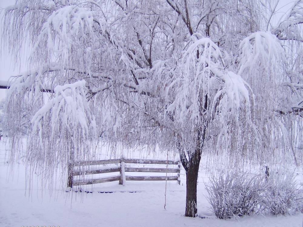 Season-(Winter-Snow-ฤดูหนาว-หิมะตก)HD-Wallpapers-Backgrounds ภาพพื้นหลัง พักหน้าจอ No.45
