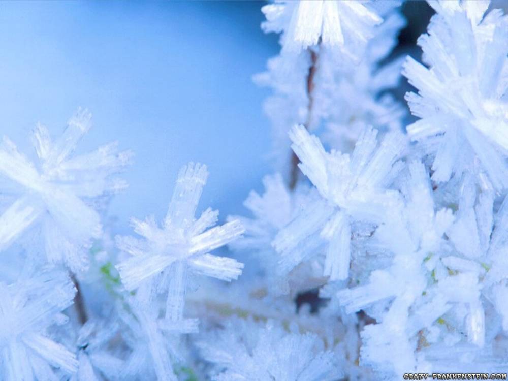 Season-(Winter-Snow-ฤดูหนาว-หิมะตก)HD-Wallpapers-Backgrounds ภาพพื้นหลัง พักหน้าจอ No.46