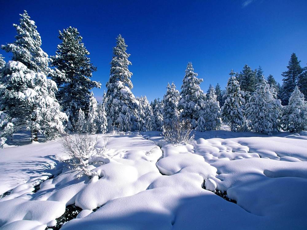 Season-(Winter-Snow-ฤดูหนาว-หิมะตก)HD-Wallpapers-Backgrounds ภาพพื้นหลัง พักหน้าจอ No.46