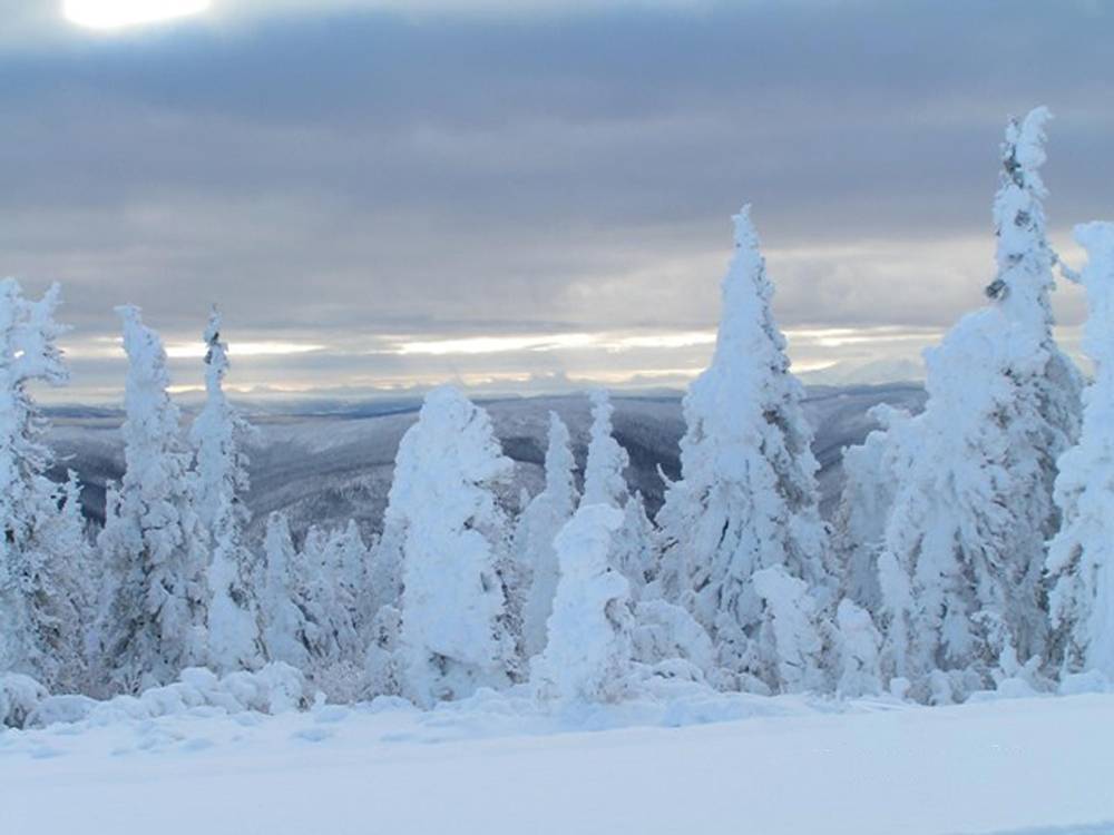 Season-(Winter-Snow-ฤดูหนาว-หิมะตก)HD-Wallpapers-Backgrounds ภาพพื้นหลัง พักหน้าจอ No.46
