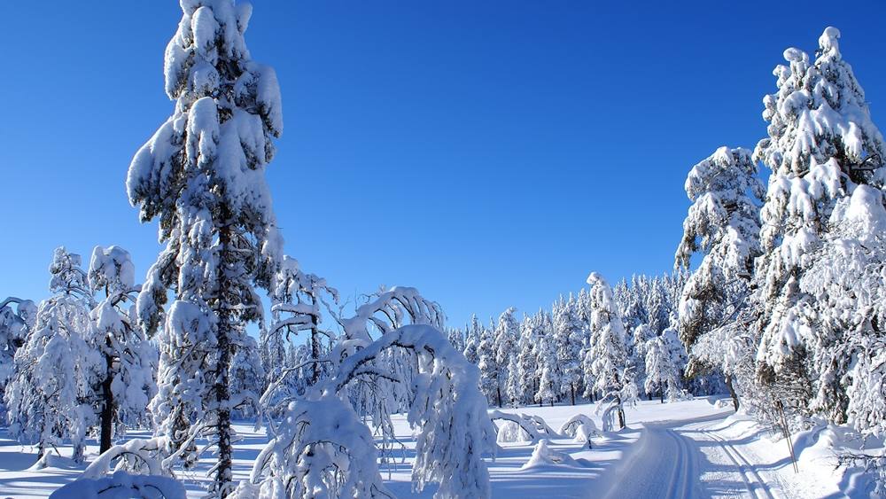 Season-(Winter-Snow-ฤดูหนาว-หิมะตก)HD-Wallpapers-Backgrounds ภาพพื้นหลัง พักหน้าจอ No.47