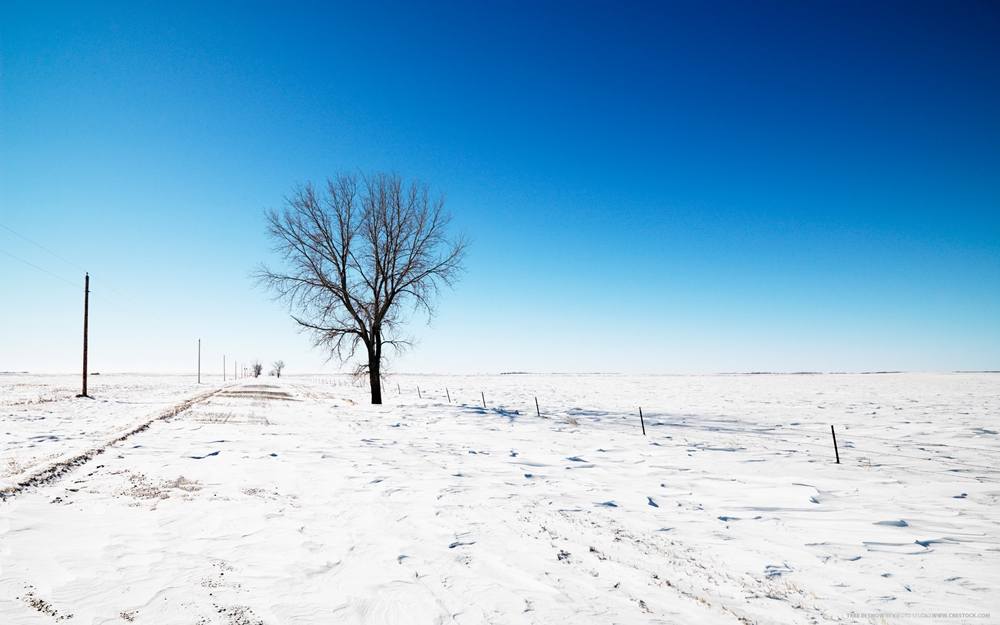 Season-(Winter-Snow-ฤดูหนาว-หิมะตก)HD-Wallpapers-Backgrounds ภาพพื้นหลัง พักหน้าจอ No.47